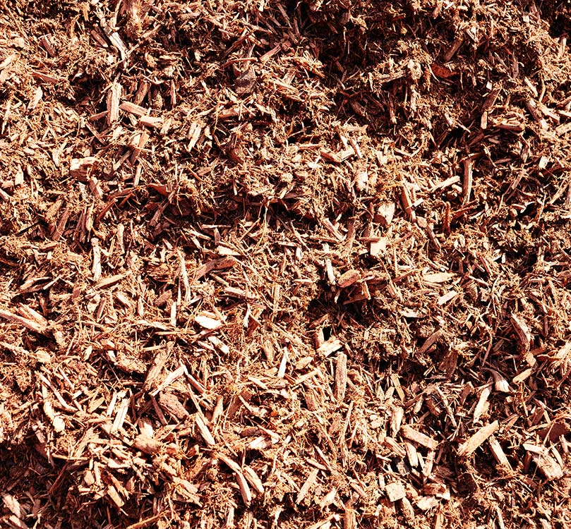 Aged Hemlock mulch