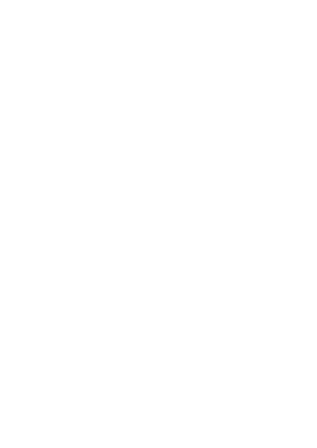 belgard